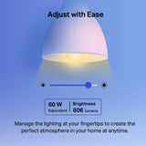 TP-Link Tapo L530E Smart Wi-Fi Colour Bulb