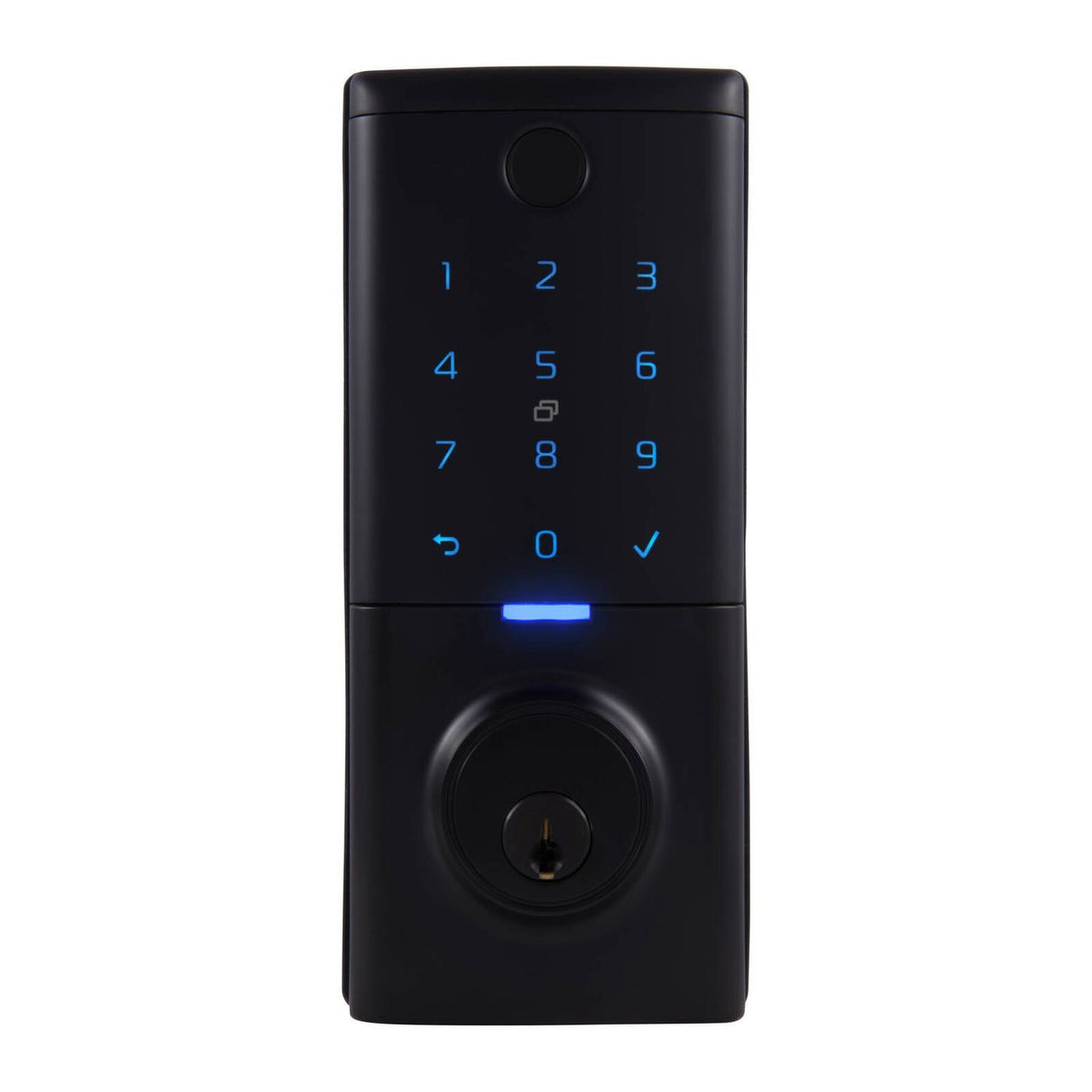 biometric locks