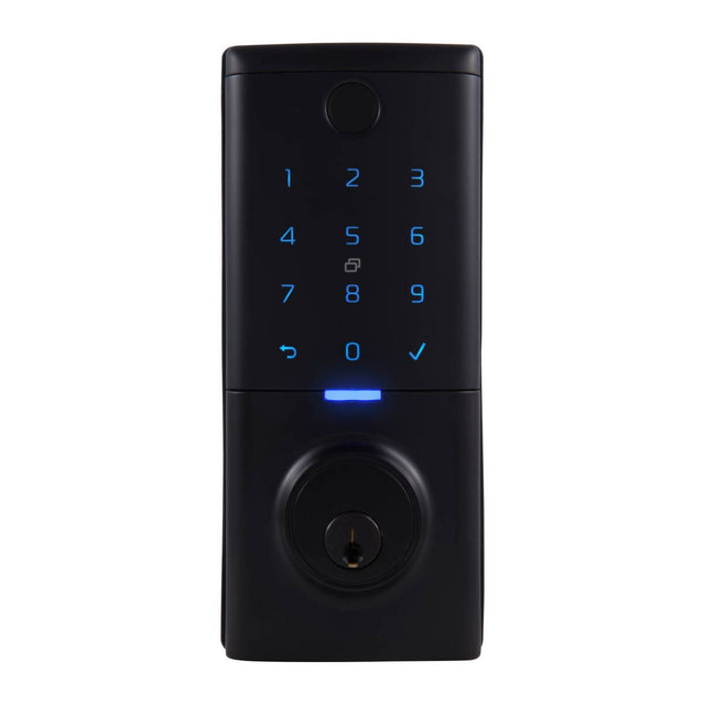 biometric locks