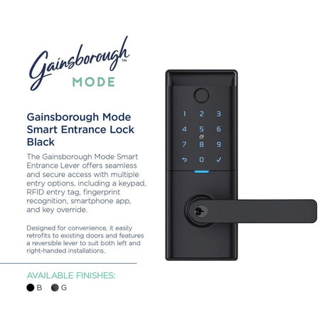 Gainsborough Mode Smart Entrance Lock