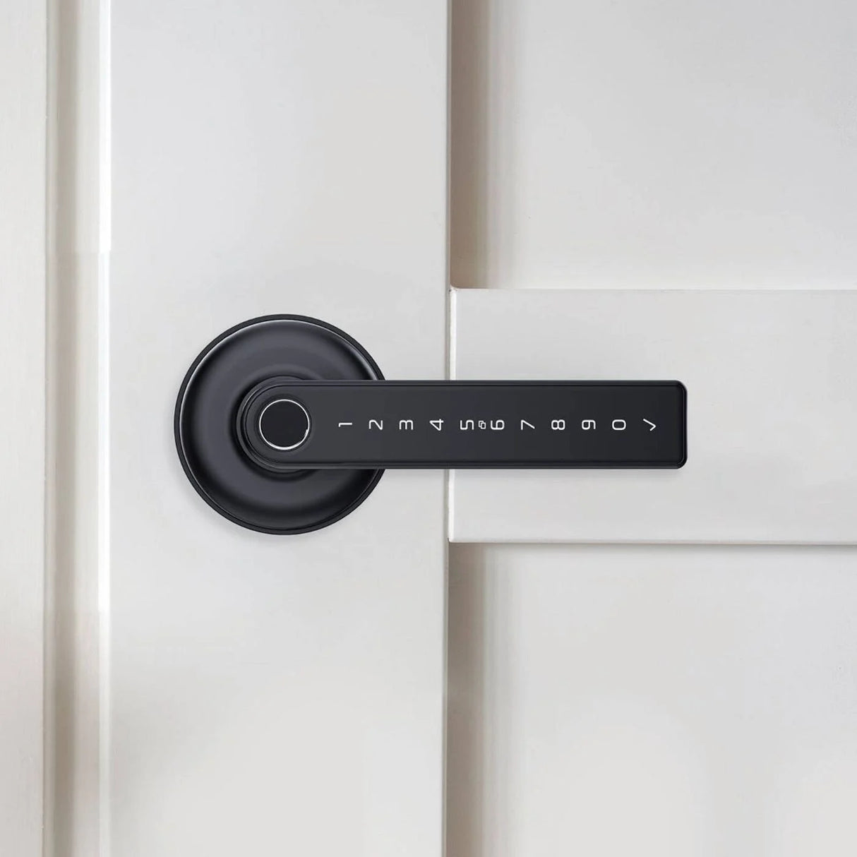 fingerprint lock