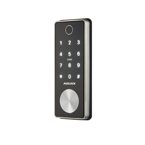 D.I.Y Smart Locks