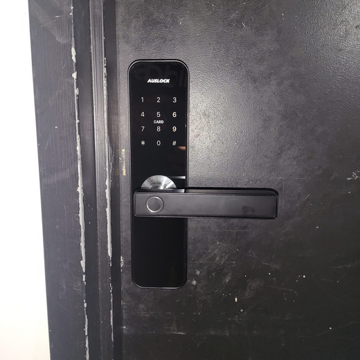electric door handle