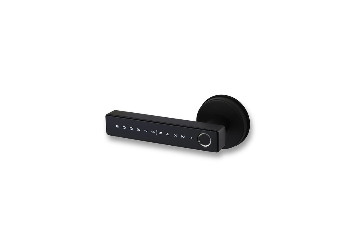 smart door handle