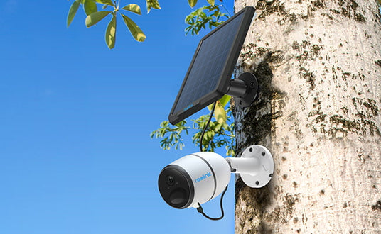 Reolink smart door lock with camera