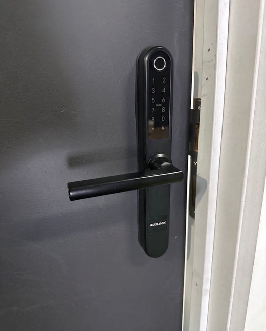 fingerprint door handle