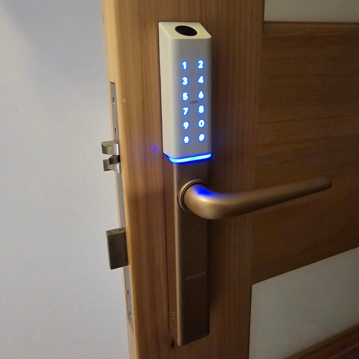 front door lock fingerprint
