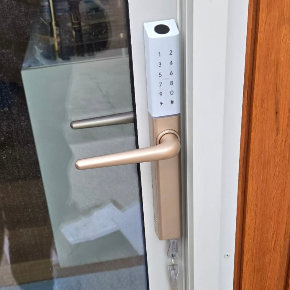 electric door handle